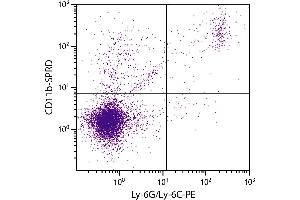 BALB/c mouse splenocytes were stained with Rat Anti-Mouse CD11b-SPRD. (CD11b antibody  (SPRD))