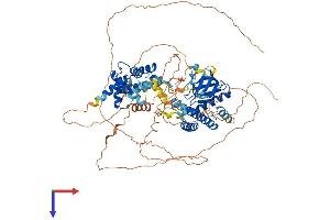 AlphaFold protein structure predicition of Mouse Recombinant Psd2 Protein, UniprotID Q6P1I6 (PSD2 Protein (AA 1-770) (His tag))