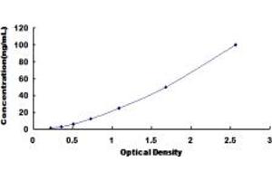 Typical standard curve (HSPE1 ELISA Kit)