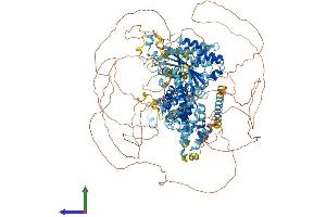 AlphaFold protein structure predicition of Human Recombinant ATAD2 Protein, UniprotID Q6PL18
