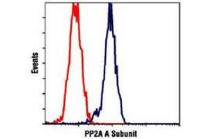 PPP2R1A antibody  (C-Term)