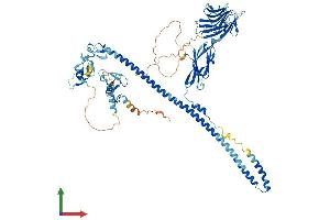 Protein Structure (PS) image for Midline 2 (MID2) (AA 1-735) protein (His tag) (ABIN7544590)