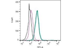 Cell surface detection of AXL by direct flow cytometry in live intact mouse J774 macrophage cells: + Rabbit IgG Isotype Control-FITC (ABIN7582044).