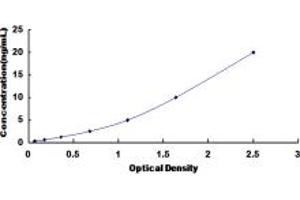 Typical standard curve (CAMK2B ELISA Kit)