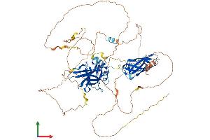 AlphaFold protein structure predicition of Mouse Recombinant Nfatc1 Protein, UniprotID O88942 (NFATC1 Protein (AA 1-717) (His tag))