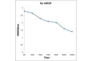 Antigen: 0. (Lamin B Receptor antibody  (AA 1-100))