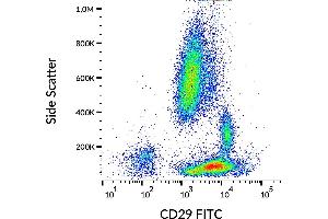 Flow cytometry analysis (surface staining) of human peripheral blood with anti-human CD29 (MEM-101A) purified, GAM-APC. (ITGB1 antibody  (FITC))