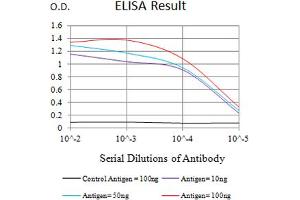 Black line: Control Antigen (100 ng),Purple line: Antigen (10 ng), Blue line: Antigen (50 ng), Red line:Antigen (100 ng) (LAG3 antibody  (AA 66-199))