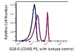 Flow Cytometry (FACS) image for anti-CD40 (CD40) antibody (PE) (ABIN6253104) (CD40 antibody  (PE))