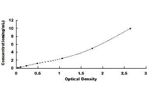 Typical standard curve (FBXO32 ELISA Kit)