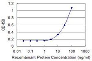Detection limit for recombinant GST tagged TWIST1 is 1 ng/ml as a capture antibody. (TWIST1 antibody  (AA 106-174))