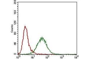 Flow cytometric analysis of Hela cells using GAB2 mouse mAb (green) and negative control (red). (GAB2 antibody  (AA 332-476))