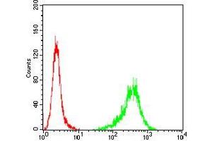 Flow cytometric analysis of A431 cells using TUBB1 mouse mAb (green) and negative control (red). (TUBB1 antibody  (AA 33-166))