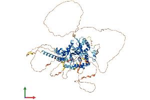 AlphaFold protein structure predicition of Human Recombinant OTUD7B Protein, UniprotID Q6GQQ9 (OTUD7B Protein (AA 1-843) (His tag))