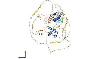 AlphaFold protein structure predicition of Human Recombinant POU3F3 Protein, UniprotID P20264 (POU3F3 Protein (AA 1-500) (His tag))
