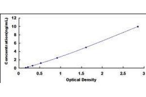 ELISA image for Actin Related Protein 2/3 Complex, Subunit 4, 20kDa (ARPC4) ELISA Kit (ABIN572361)