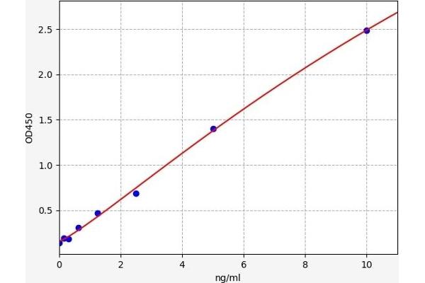 PINK1 ELISA Kit