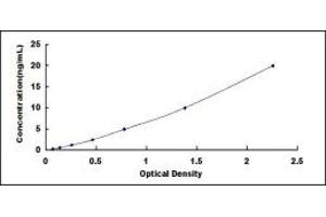 Typical standard curve (UXS1 ELISA Kit)