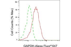 Flow cytometric analysis of GAPDH expression in HepG2 cells using GAPDH antibody (ABIN7798764), 1:2,000). (GAPDH antibody)