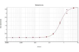 ELISA Results of Rabbit Anti-Dextranase Antibody Biotin Conjugated tested against purified Dextranase protein. (Dextranase antibody  (Biotin))