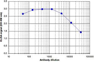 ELISA was performed using a serial dilution of Mll2 polyclonal antibody . (MLL2 antibody)