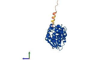 AlphaFold protein structure predicition of Human Recombinant DIMT1 Protein, UniprotID Q9UNQ2 (DIMT1 Protein (AA 1-313) (His tag))