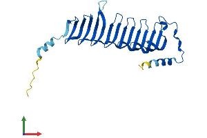 AlphaFold protein structure predicition of Human Recombinant MORN3 Protein, UniprotID Q6PF18