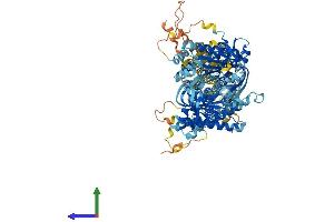 AlphaFold protein structure predicition of Mouse Recombinant Adcy4 Protein, UniprotID Q91WF3