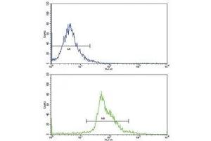 Flow cytometric analysis of WiDr cells using PAX4 antibody (bottom histogram) compared to a negative control (top histogram) (PAX4 antibody  (AA 171-200))