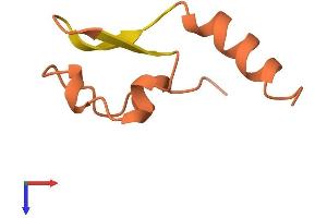 AlphaFold protein structure predicition of Human Recombinant KRTAP21-3 Protein, UniprotID Q3LHN1