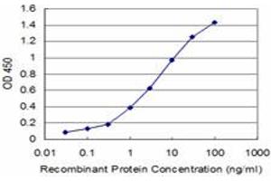 Detection limit for recombinant GST tagged NEUROG3 is approximately 0. (Neurogenin 3 antibody  (AA 1-101))