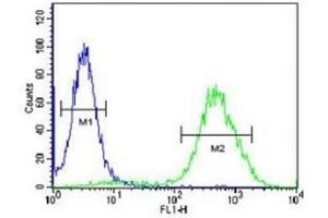CCR1 antibody flow cytometric analysis of 293 cells (right histogram) compared to a negative control (left histogram). (CCR1 antibody  (AA 1-30))