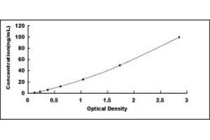 Signal Transducer and Activator of Transcription 3 (Acute-Phase Response Factor) (STAT3) ELISA Kit