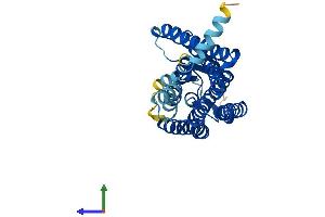 AlphaFold protein structure predicition of Human Recombinant OR8B8 Protein, UniprotID Q15620 (OR8B8 Protein (AA 1-311) (His tag))