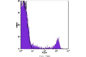 Flow Cytometry (FACS) image for anti-CD8 (CD8) antibody (PE) (ABIN2145437) (CD8 antibody  (PE))