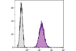 Mouse pre-B cell line 18-81 was stained with Rat Anti-Mouse CD71-FITC. (Transferrin Receptor antibody  (FITC))