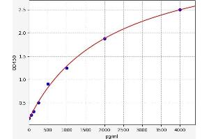 Angiopoietin 2 (ANGPT2) ELISA Kit