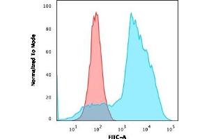 TNFRSF4 antibody  (AA 59-205)