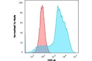 TNFRSF4 antibody  (AA 59-205)