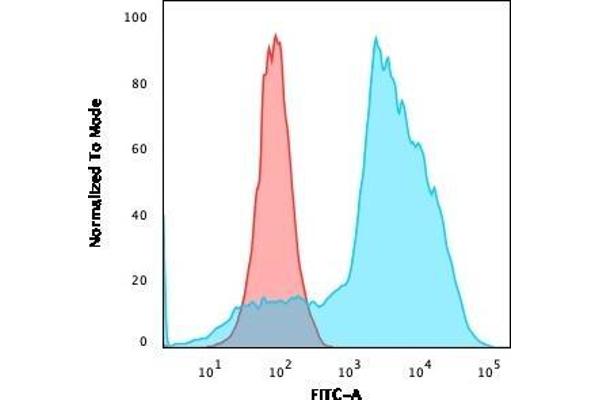 TNFRSF4 antibody  (AA 59-205)