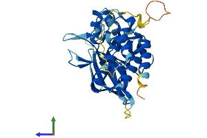 AlphaFold protein structure predicition of Mouse Recombinant Pdik1l Protein, UniprotID Q8QZR7