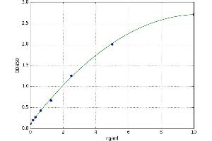Notch 2 (NOTCH2) ELISA Kit