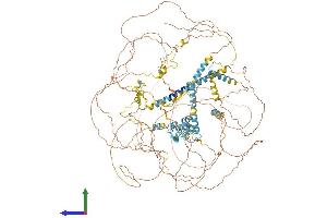 AlphaFold protein structure predicition of Human Recombinant ZC3H6 Protein, UniprotID P61129 (ZC3H6 Protein (AA 1-1189) (His tag))