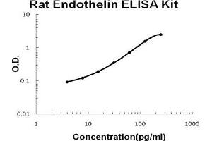 Rat Endothelin PicoKine ELISA Kit standard curve (Endothelin 1 ELISA Kit)