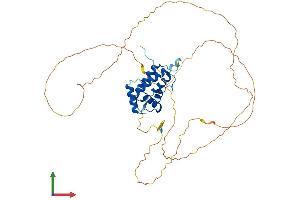 AlphaFold protein structure predicition of Human Recombinant PPP4R2 Protein, UniprotID Q9NY27 (PPP4R2 Protein (AA 1-417) (His tag))