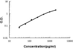 Sandwich ELISA - Recombinant human GDF-15 protein standard curve.