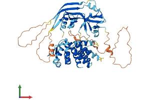 AlphaFold protein structure predicition of Human Recombinant GSDMC Protein, UniprotID Q9BYG8