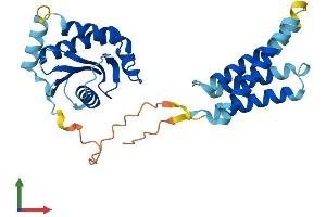 AlphaFold protein structure predicition of Human Recombinant SEC22C Protein, UniprotID Q9BRL7 (SEC22C Protein (AA 1-303) (His tag))