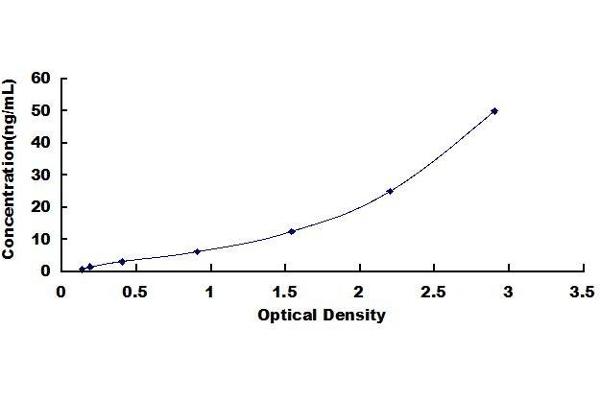 LECT2 ELISA Kit