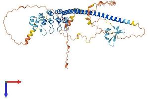 AlphaFold protein structure predicition of Mouse Recombinant Ankrd53 Protein, UniprotID Q3V0J4 (ANKRD53 Protein (AA 1-497) (His tag))